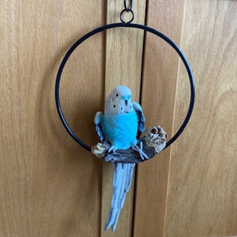 Lifesize REALISTIC Hanging BLUE PARAKEET *Black Circle & Branch* HIGHLY DETAILED
